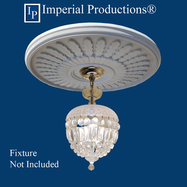 IPMED509 shown with chandelier not included