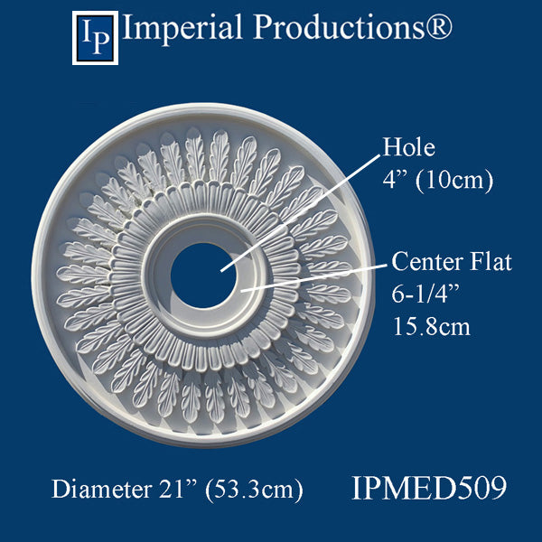 IPMED509 drawing
