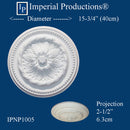 IPNP1005 medallion