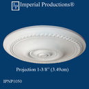 IPNP1050 Projection