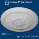 IPNP1053 projection