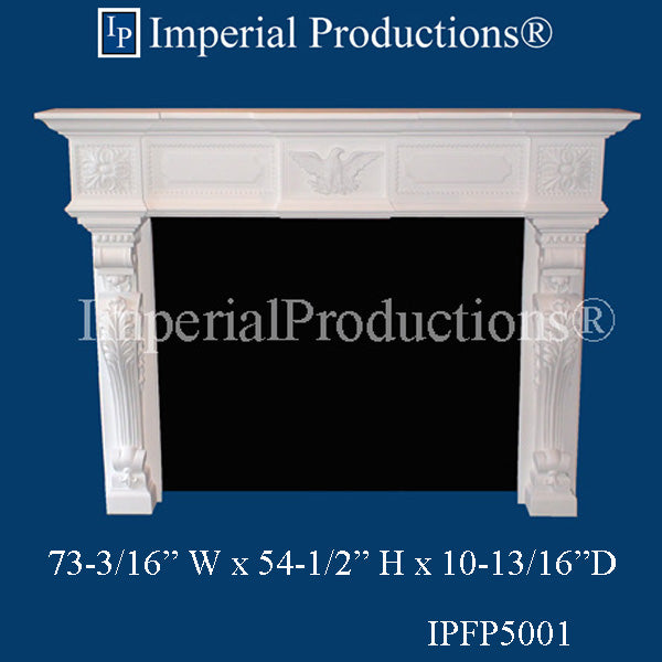 IPFP5001-POL