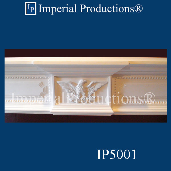IPFP5001-POL