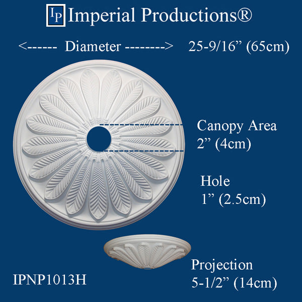 IPNP1013H medallion measurements