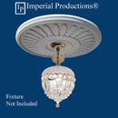 IPMED509 shown with chandelier not included