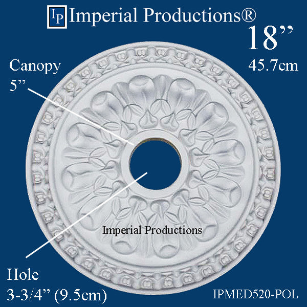 IPMED520 hole and canopy