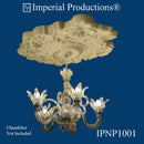 IPNP1001 medallion