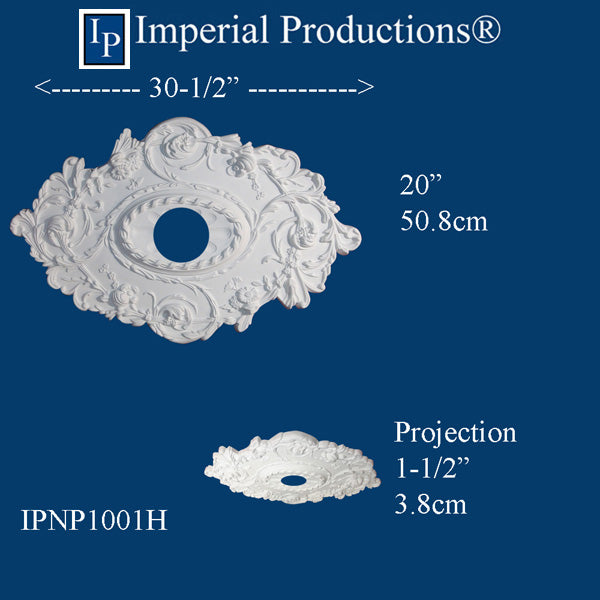 IPNP1001H drawing