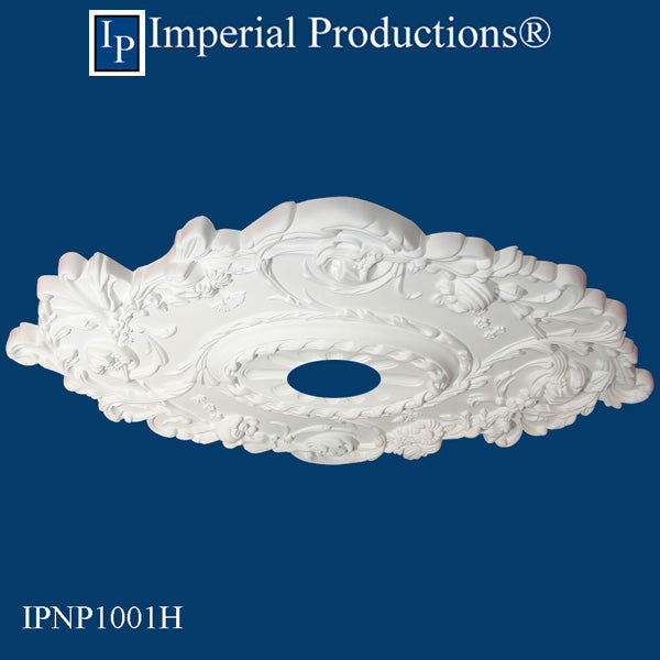 IPNP1001H side view