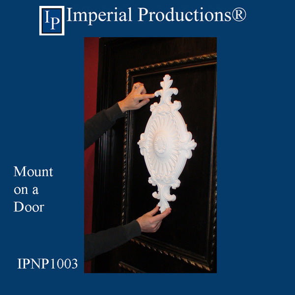 IPNP1003 shown on door