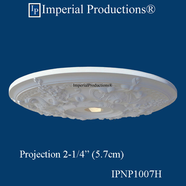 IPNP1007H side view 