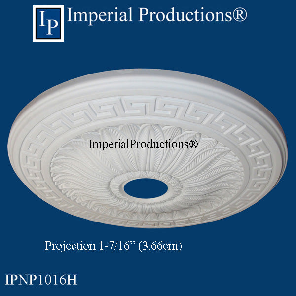 IPNP1016H Projection