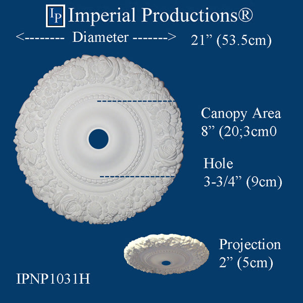 IPNP1031H drawing