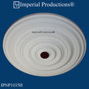 IPNP1035H medallion side view