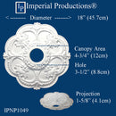 IPNP1049 hole and canopy