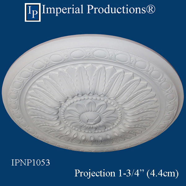 IPNP1053 projection