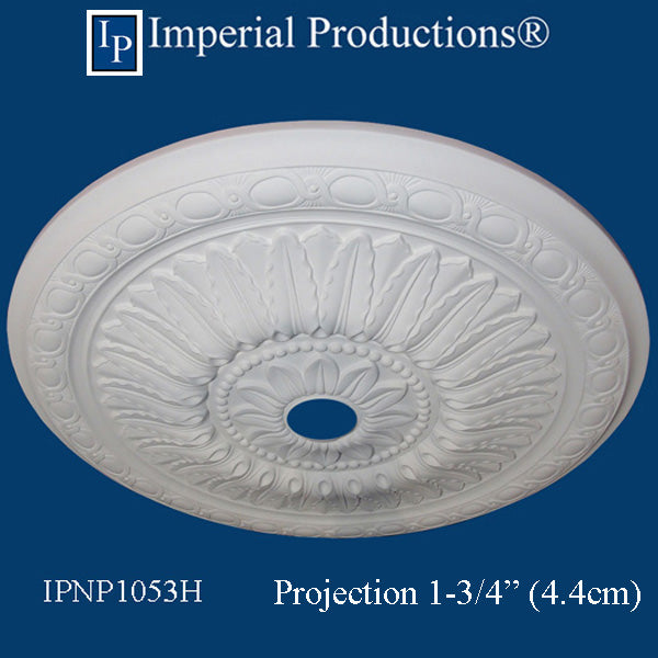 IPNP1053H medallion projection