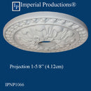 IPNP1066 Projection