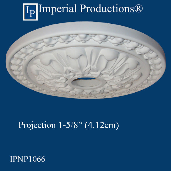 IPNP1066 Projection