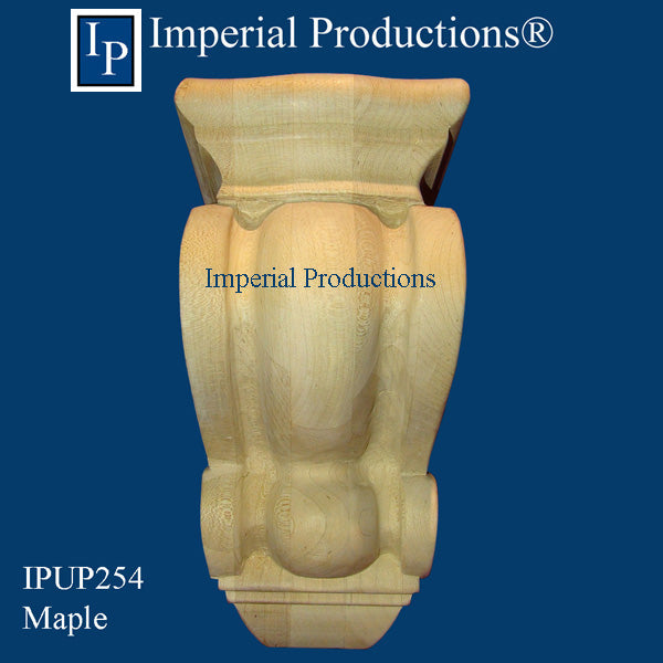 IPUP254 Front View